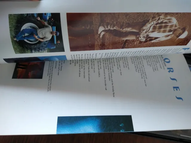 Caja Collezionista di Garth Brooks