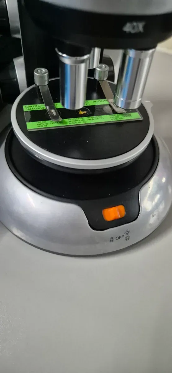 Microscopio educativo 40x-400x con accesorios