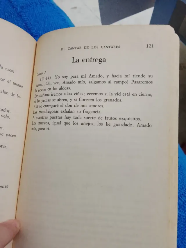 Los mas bellos pasajes de la biblia