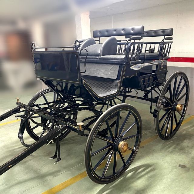 FAETÓN Húngaro de 1 o 2 caballos y 4 plazas