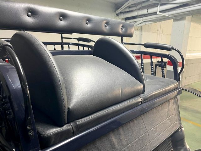 FAETÓN Húngaro de 1 o 2 caballos y 4 plazas