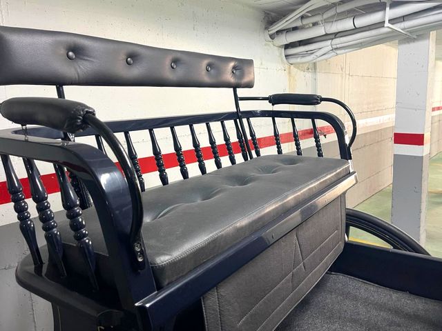 FAETÓN Húngaro de 1 o 2 caballos y 4 plazas