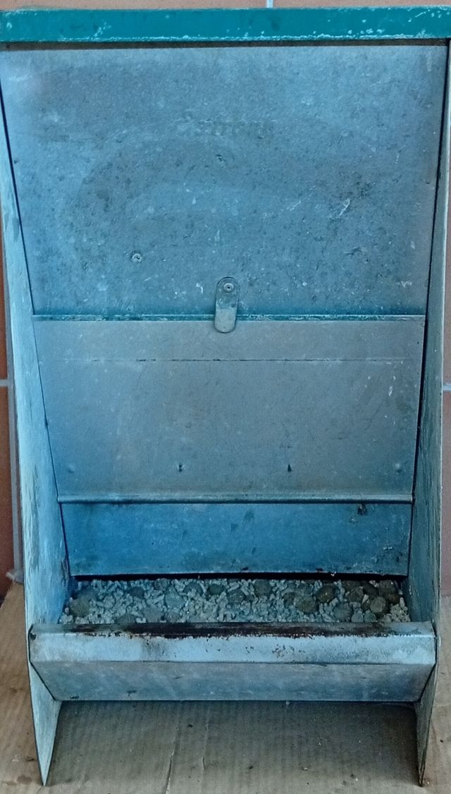 Comedero metálico para perros