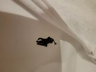 Conjunto chándal blanco Ralph Lauren.