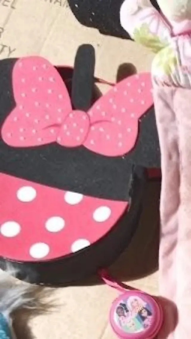 ARTÍCULO RECOMENDADO PARA USO EN ÉPOCA DE CARNAVAL