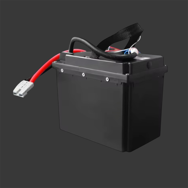 Batería Litio Profesional 24V 20Ah 480Wh