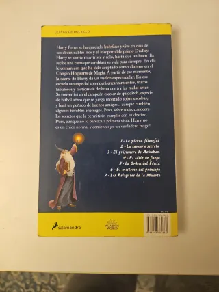Harry Potter y la piedra filosofal (Harry Potte...