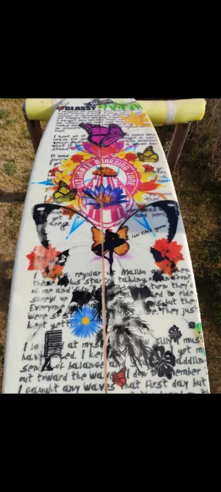 Tabla de surf Egg Crown