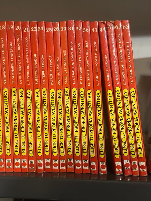 libros ‘Elige tu propia aventura’ -34