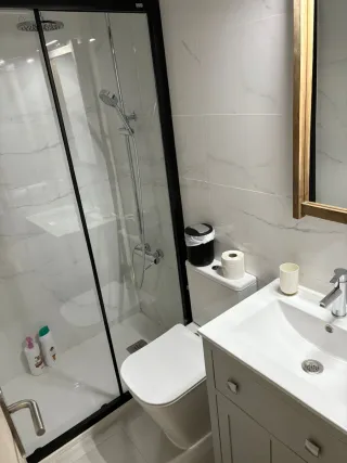 Servicios de limpieza y domésticos