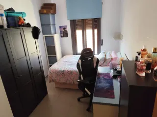 Servicios de limpieza y domésticos