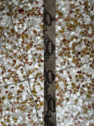 Cintura Guess Pelle Stampa Serpente 70cm