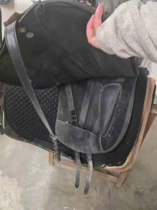 Silla doma Wintec Isabel  17 1/2