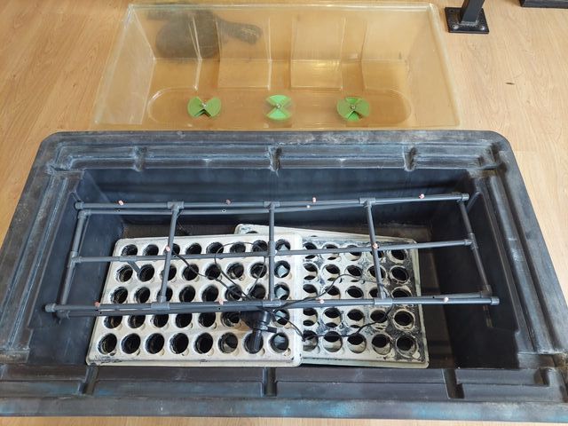 Esquejador Hidropónico Nutriculture