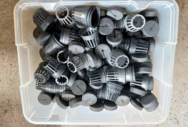 Esquejador Hidropónico Nutriculture