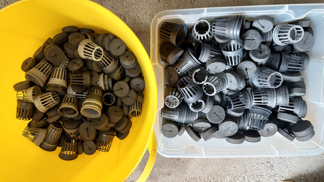 Esquejador Hidropónico Nutriculture