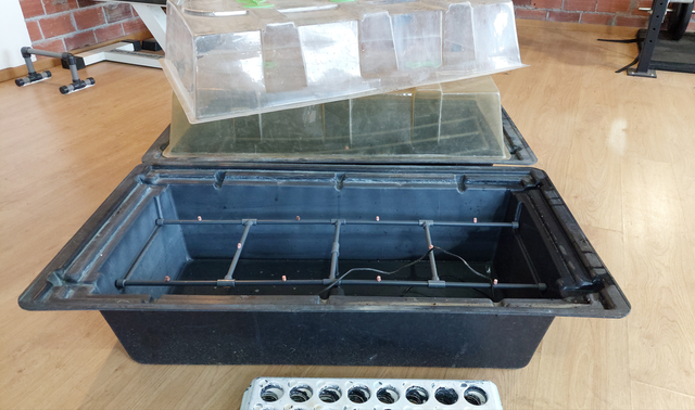 Esquejador Hidropónico Nutriculture