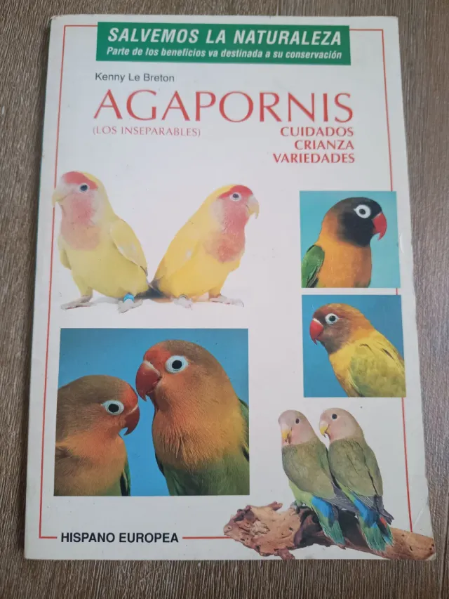Agapornis