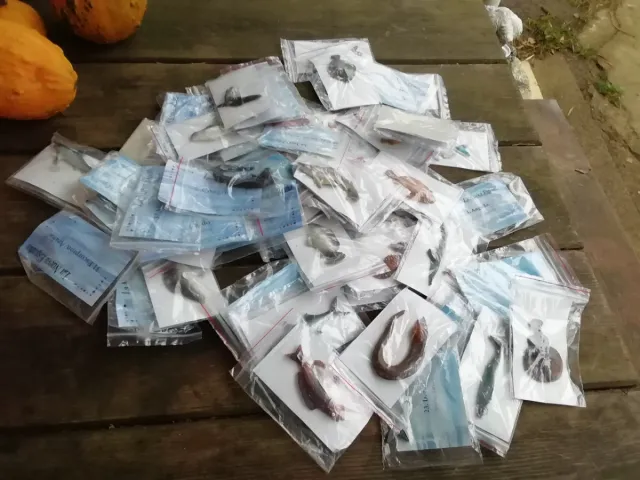 Colección Peces Miniatura