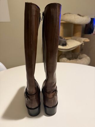 Stivali da cavallo marroni