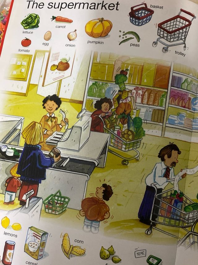 Mi Primer Diccionario de Inglés