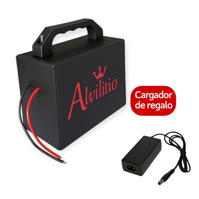 Batería Litio 48V 30Ah + Cargador