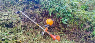 Se realizan desbroces y plantaciones de eucalipto.