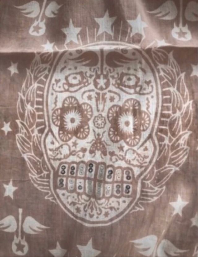 Lenço Dayaday Calaveras Novo