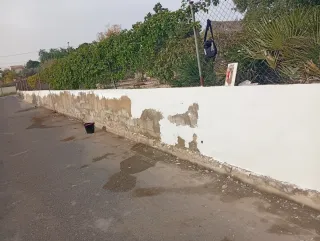 Albañil de primera y pintor