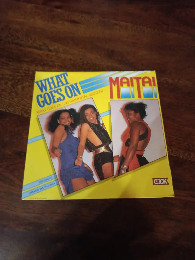 Vinilo 45r What Goes On Maitai