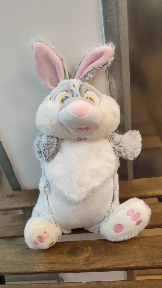 Bolsa de agua Tambor Disney