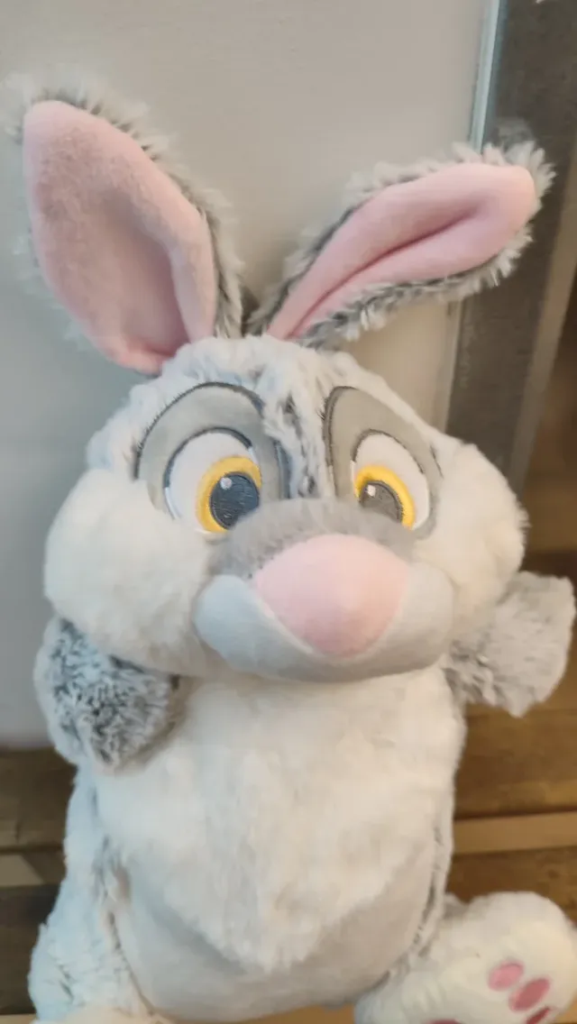 Bolsa de agua Tambor Disney