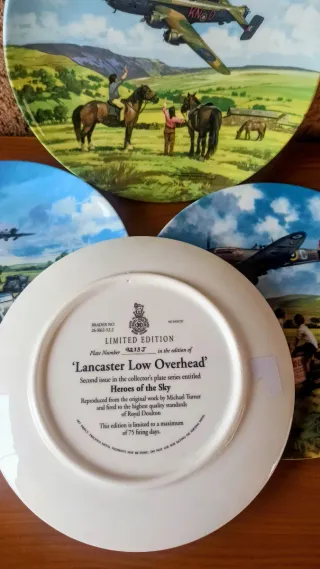 4 Piatti Royal Doulton da Collezione 20cm