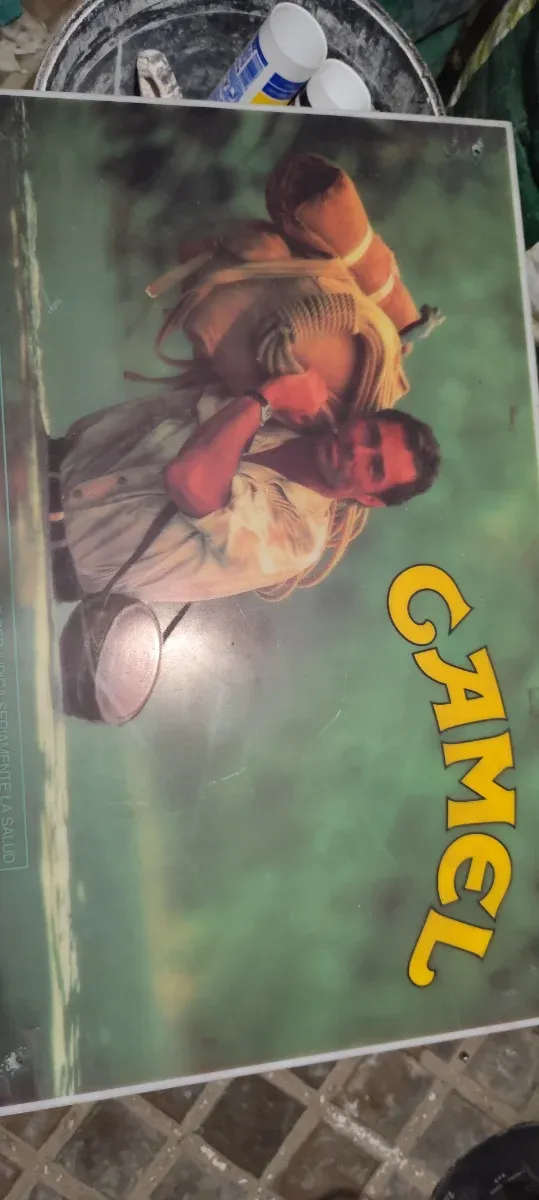 Póster Camel
