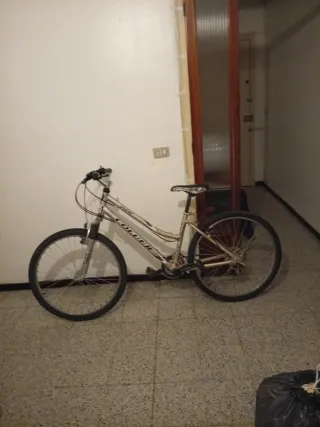Bicicleta Coluer plateada