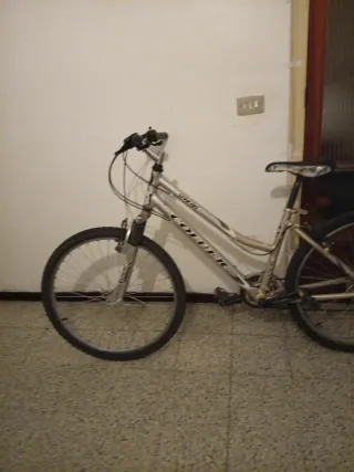 Bicicleta Coluer plateada