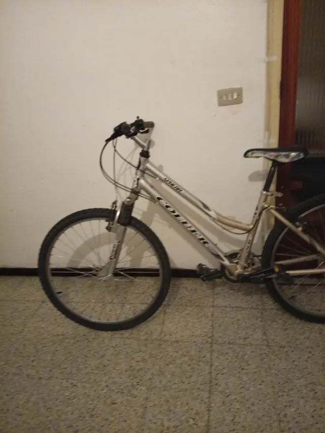 Bicicleta Coluer plateada