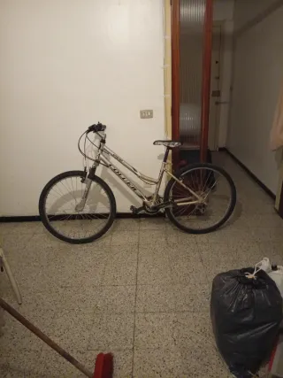 Bicicleta Coluer plateada