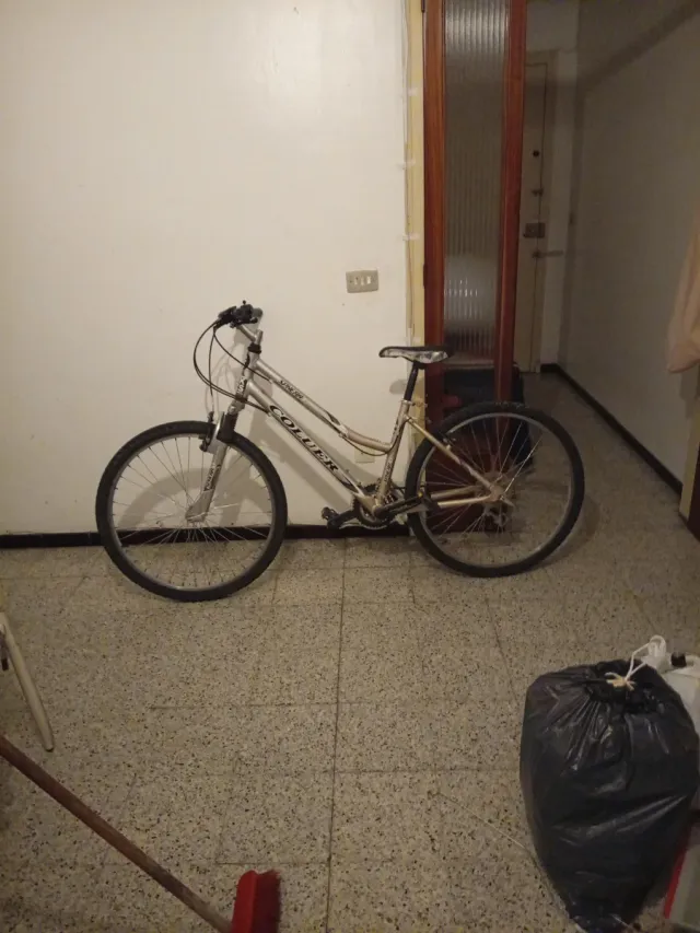 Bicicleta Coluer plateada