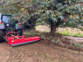 Trituradora  desbrozadora seppi
