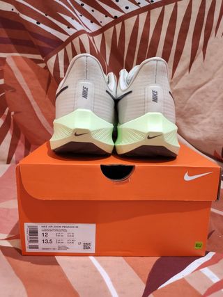 Nike Air Zoom Pegasus 39