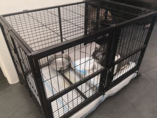 Cuccia/Gabbia Box/Kennel Animali/Cani/Gatti Usata