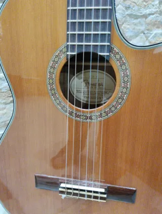 Guitarra Electroacústica Fender