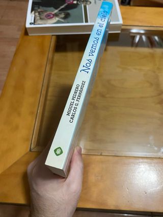 Nos vemos en el cielo : manifestaciones después...