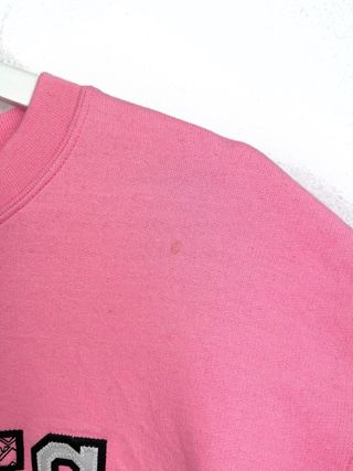 Sudadera Champion USA Retro Oversize Bordada Y2K