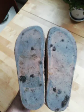 Sandalias Beige y Marrón con Hebillas