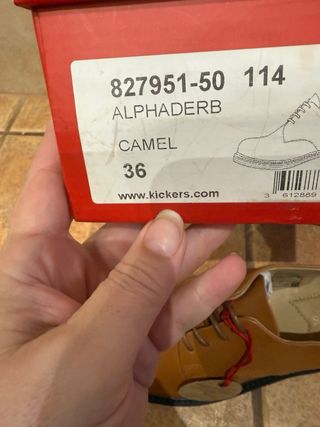 Zapatos Kickers Marrones y Negros