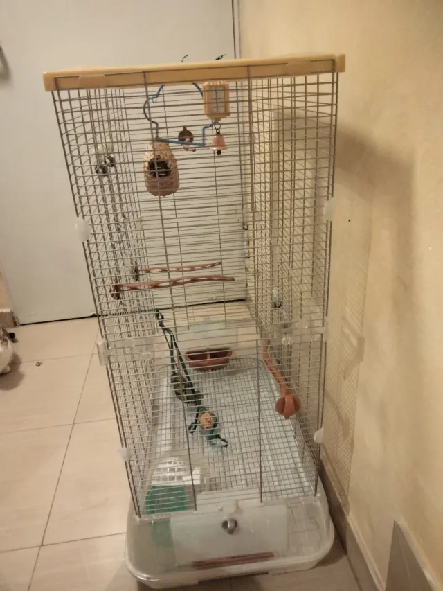 Jaula grande para pájaros