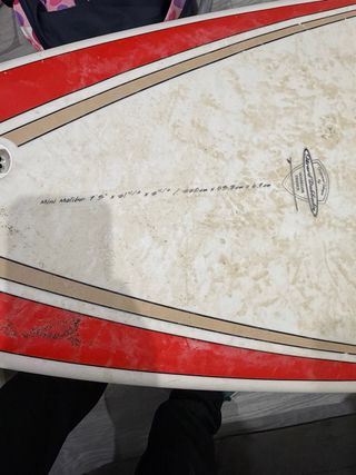 Tabla Surf Mini Malibu 7'3 Bic
