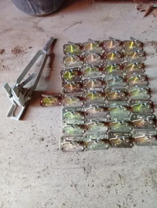 Ranas y máquina de encofrado